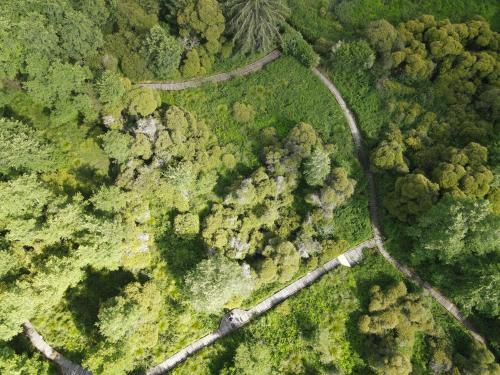 DJI_3040.JPG